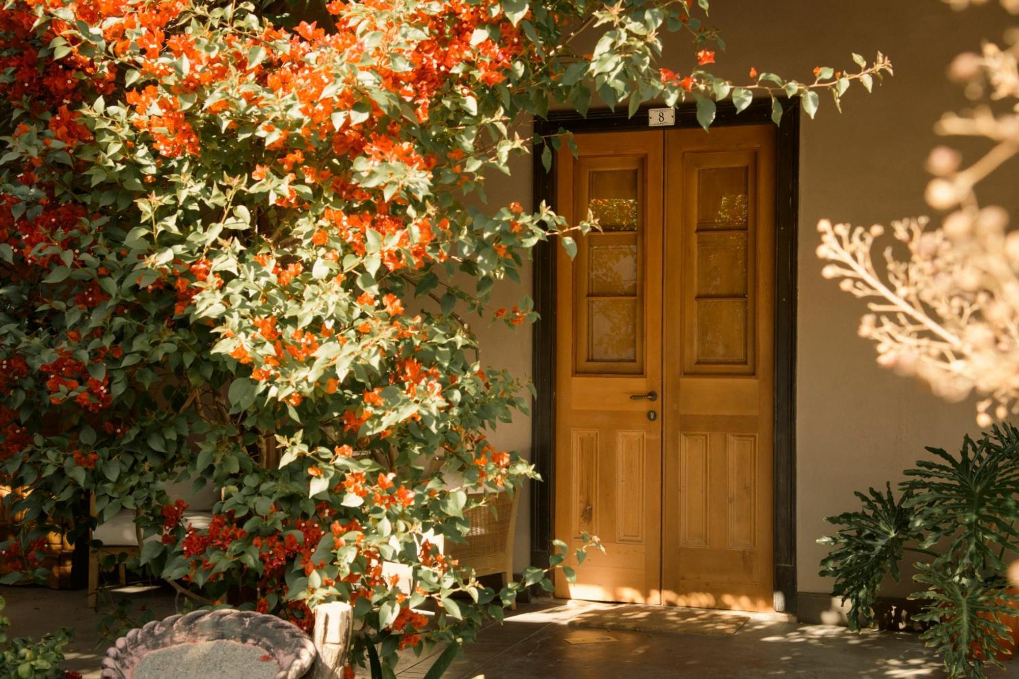 Solar Madariaga Hotel Vicuna Exterior photo